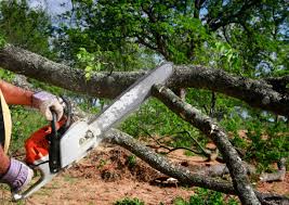Best Lawn Maintenance Plans  in Akron, IA