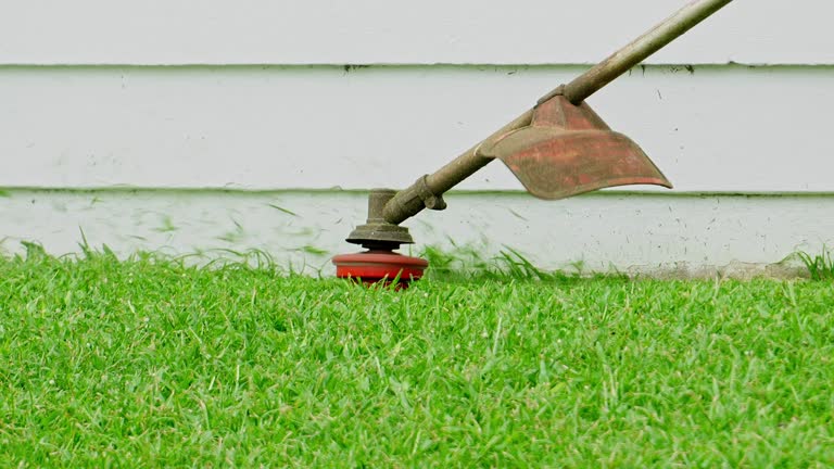 Best Hedge Trimming  in Akron, IA